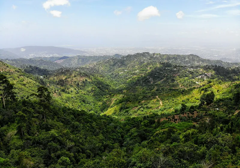 Green forested ridges of the Blue Mountains under a soft sky