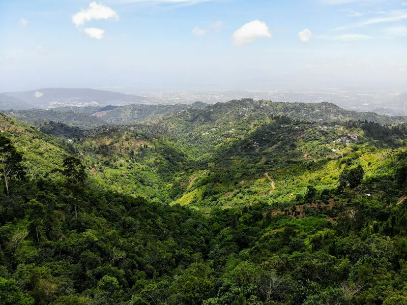 Rolling green ridges of the Blue Mountains, Jamaica