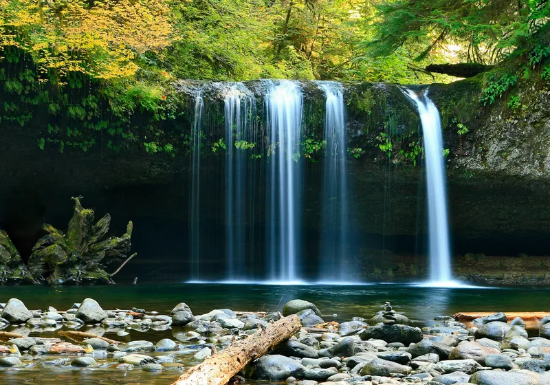 A wide waterfall pouring into a clear pool surrounded by rainforest