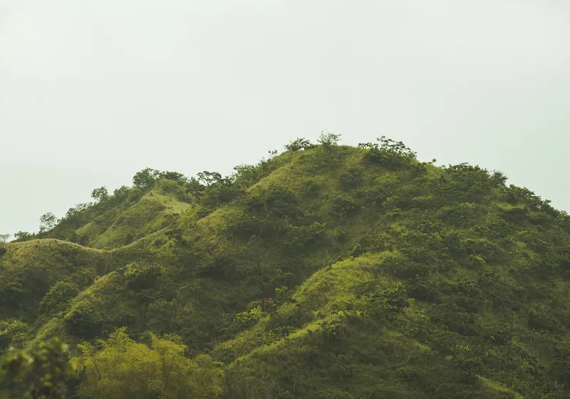 Misty green hills in the Jamaican countryside
